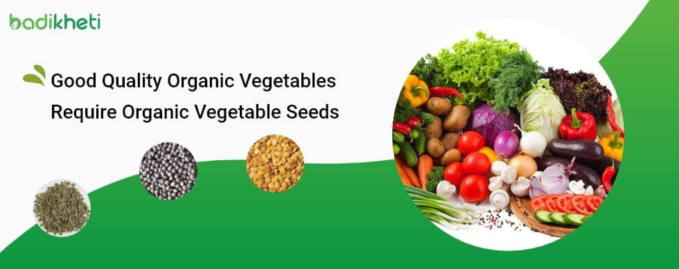 Good Quality Organic Vegetables Require Organic Vegetable Seeds