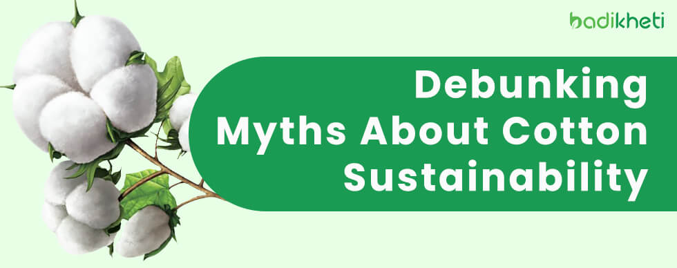 Debunking Myths About Cotton Sustainability