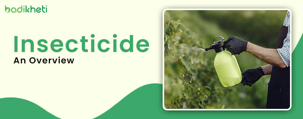 Insecticide - An Overview