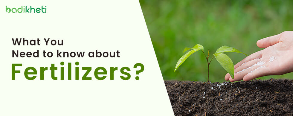 What You Need to know about Fertilizers