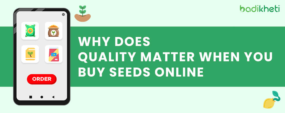 Why does quality matter when you buy seeds online?