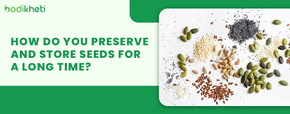 How do you preserve and store seeds for a long time