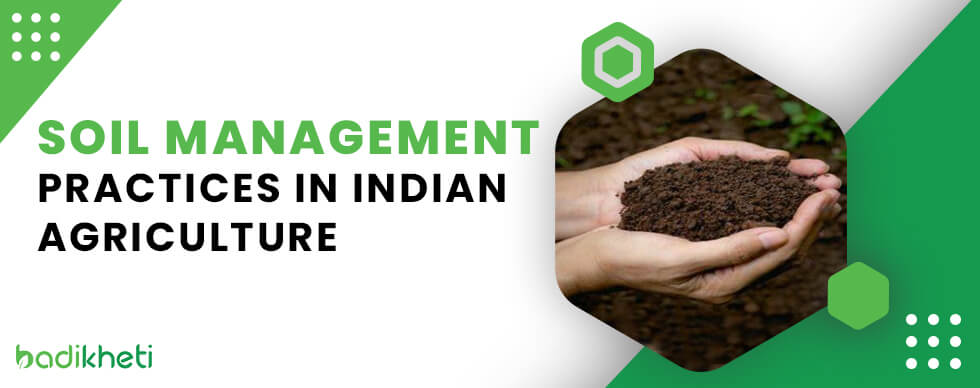 Soil Management Practices in Indian Agriculture