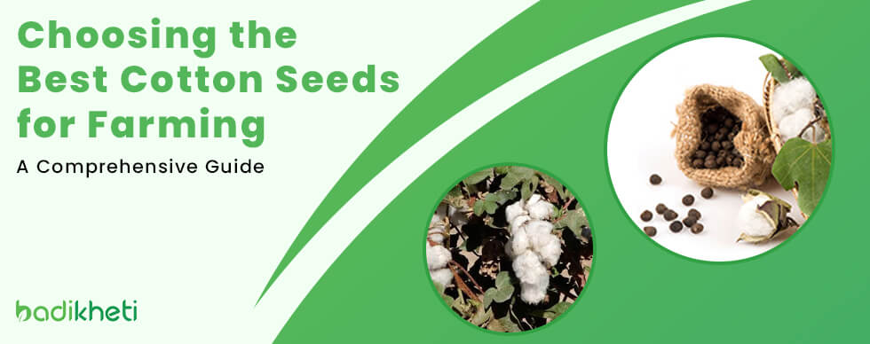 Tips to Choose the Best Cotton Seeds to Buy for Farming