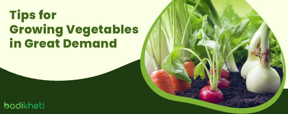 Tips for Growing Vegetables in Great Demand