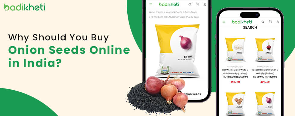Why Should You Buy Onion Seeds Online in India?