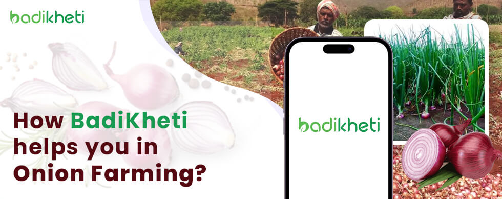 How BadiKheti helps you in Onion Farming?