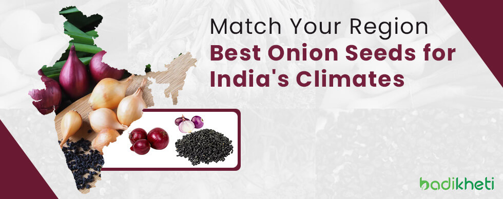 Match Your Region Best Onion Seeds for India's Climates